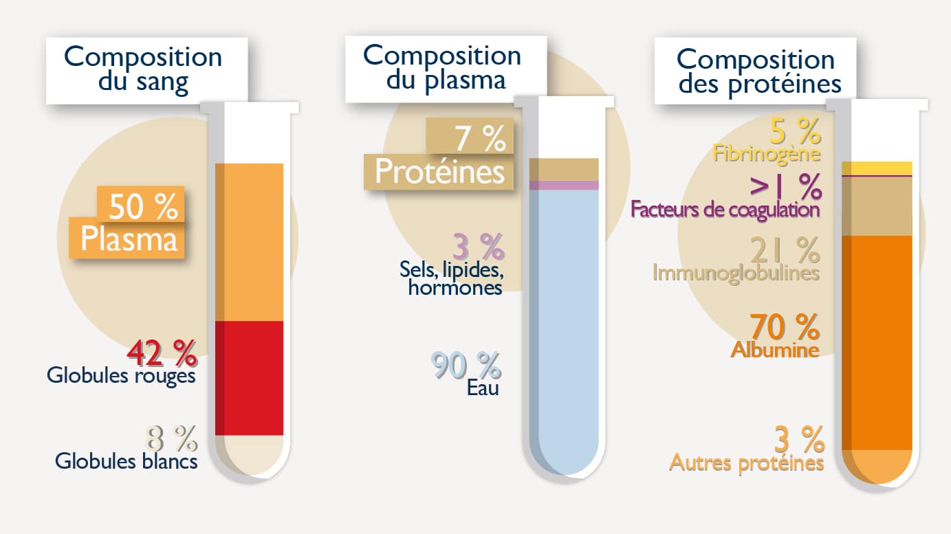 Composition du sang : 50% de plasma, 42% de globules rouges, 8% de globules blancs. Composition du plasma : 7% de proteines, 3% de sels, lipides, hormones et 90% d'eau. Composition des protéines : 5% de fibrinogène, moins d'1% de facteurs de coagulation, 70% d'albumine, 3% d'autres protéines.