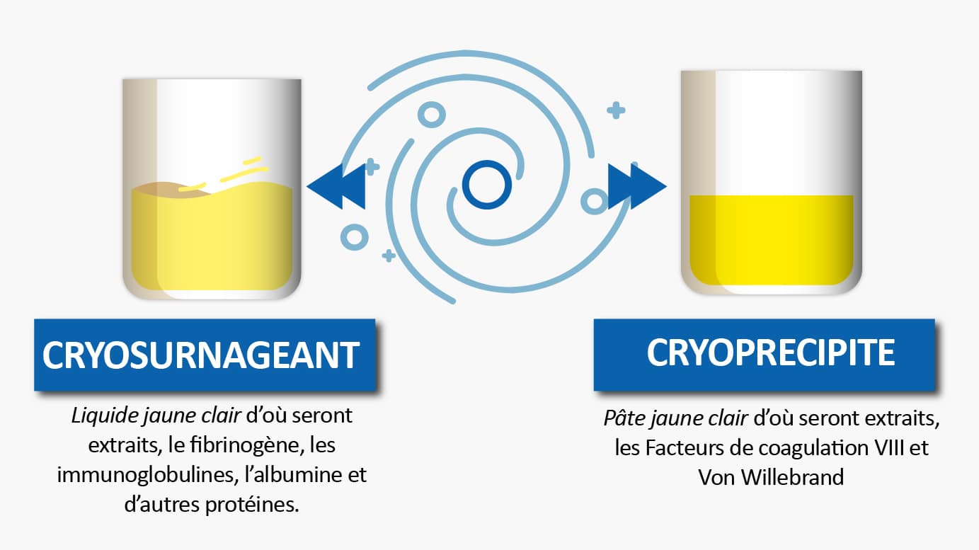 Cryosurnageant : Liquide jaune clair d'où seront extraits le fibrinogène, les immunoglobulines, l'albumine et d'autres protéines. Cryoprécipité : pâte jaune clair d'où sont extraits les facteurs de coagulation VIII et Von Willebrand.