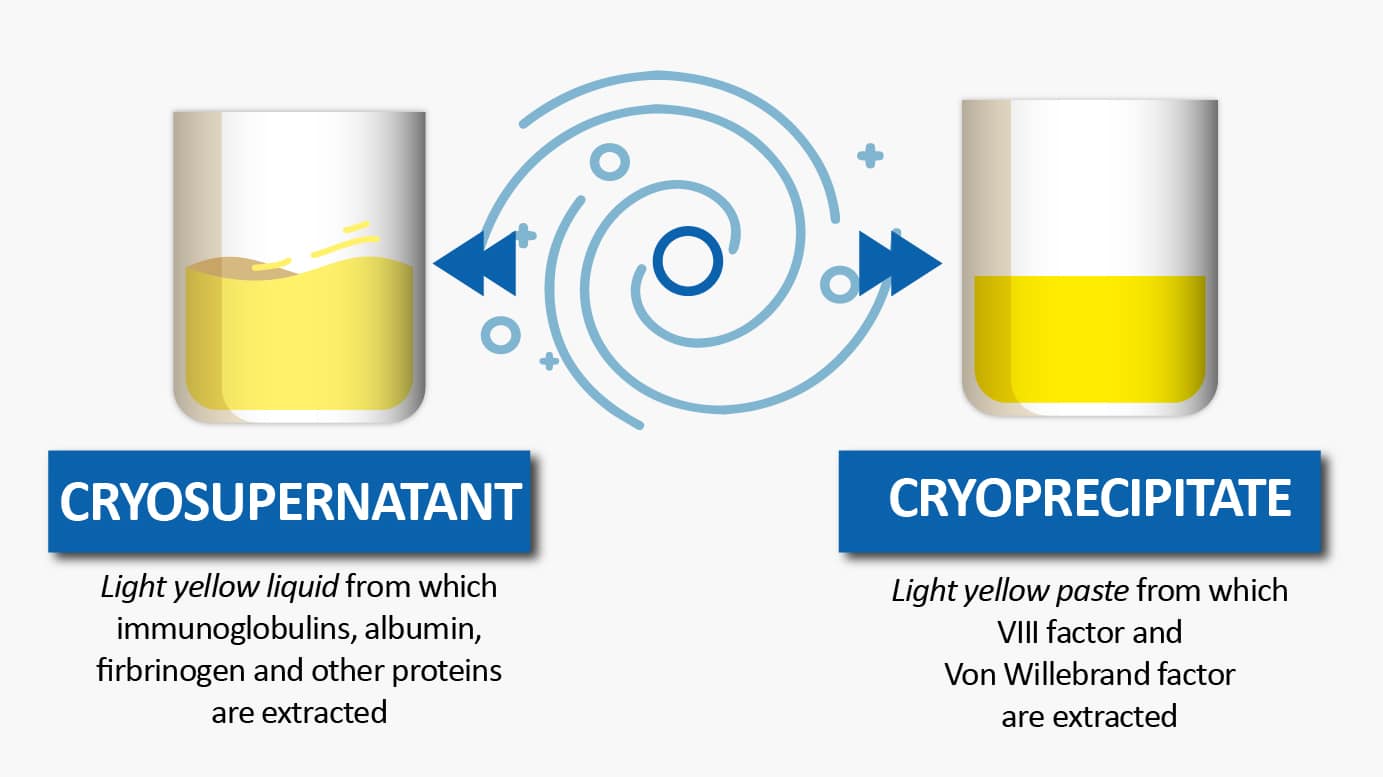 Cryosupernatant : light yellow liquid from which immunoglobulins, albumin, fibrinogen and other proteins are extracted. Cryoprecipitate : light yellow paste from which VIII factor and Von Willebrand factor are extracted.